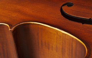 ce310-violoncelo-eagle-ce310-detalhe-02