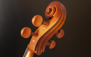 hce110-violoncelo-eagle-hce110-detalhe-04