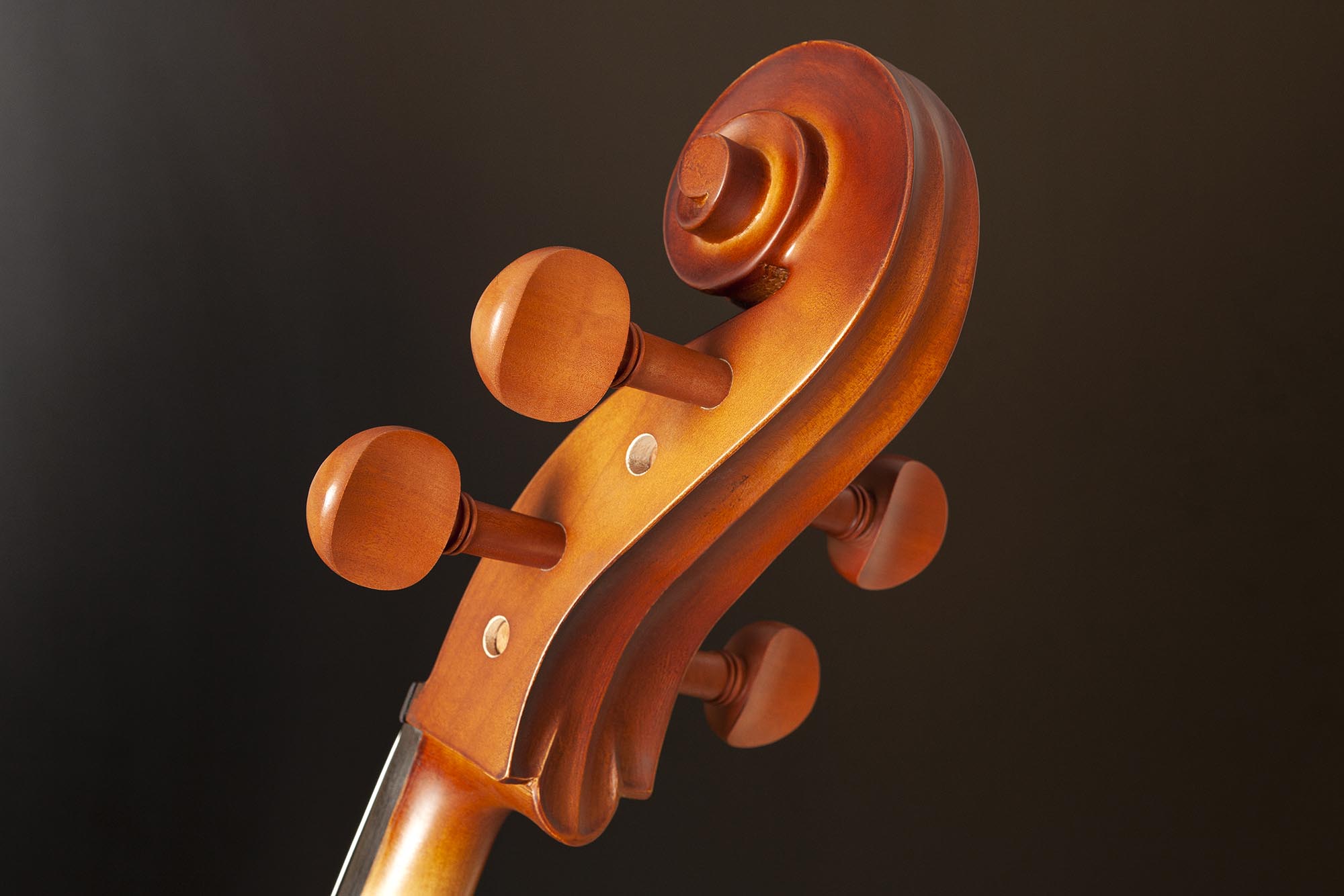 hce110-violoncelo-eagle-hce110-detalhe-04