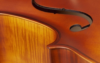 hce110-violoncelo-eagle-hce110-detalhe-05