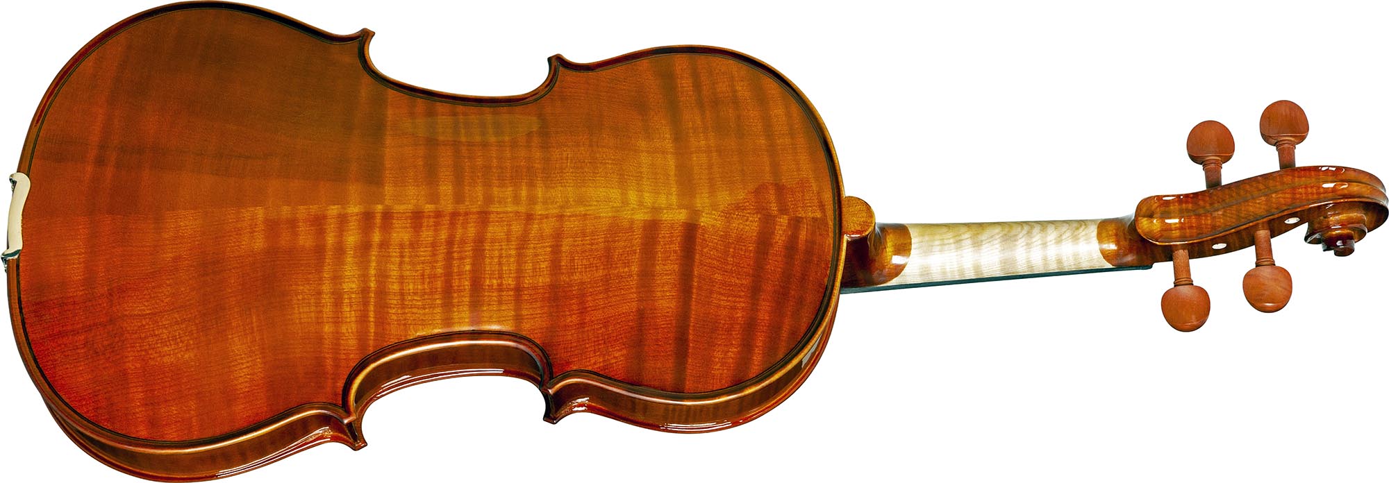 va150-viola-eagle-va150-visao-posterior