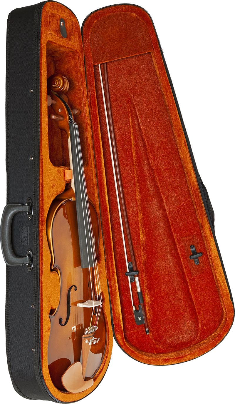 va152-viola-eagle-pro-series-va152-estojo-aberto-vertical