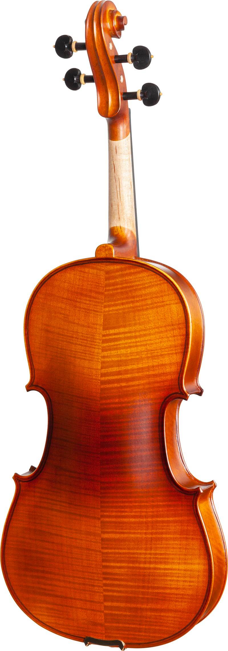 va182-viola-eagle-master-series-va182-visao-posterior-vertical